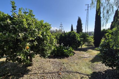 69794b9558b9577da601c2d686902397 - 53