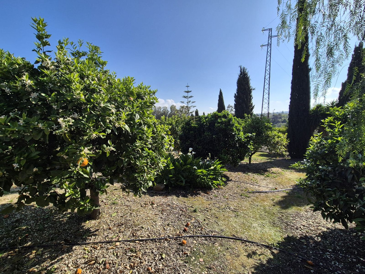 69794b9558b9577da601c2d686902397 - 53