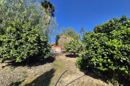 69794b9558b9577da601c2d686902397 - 54