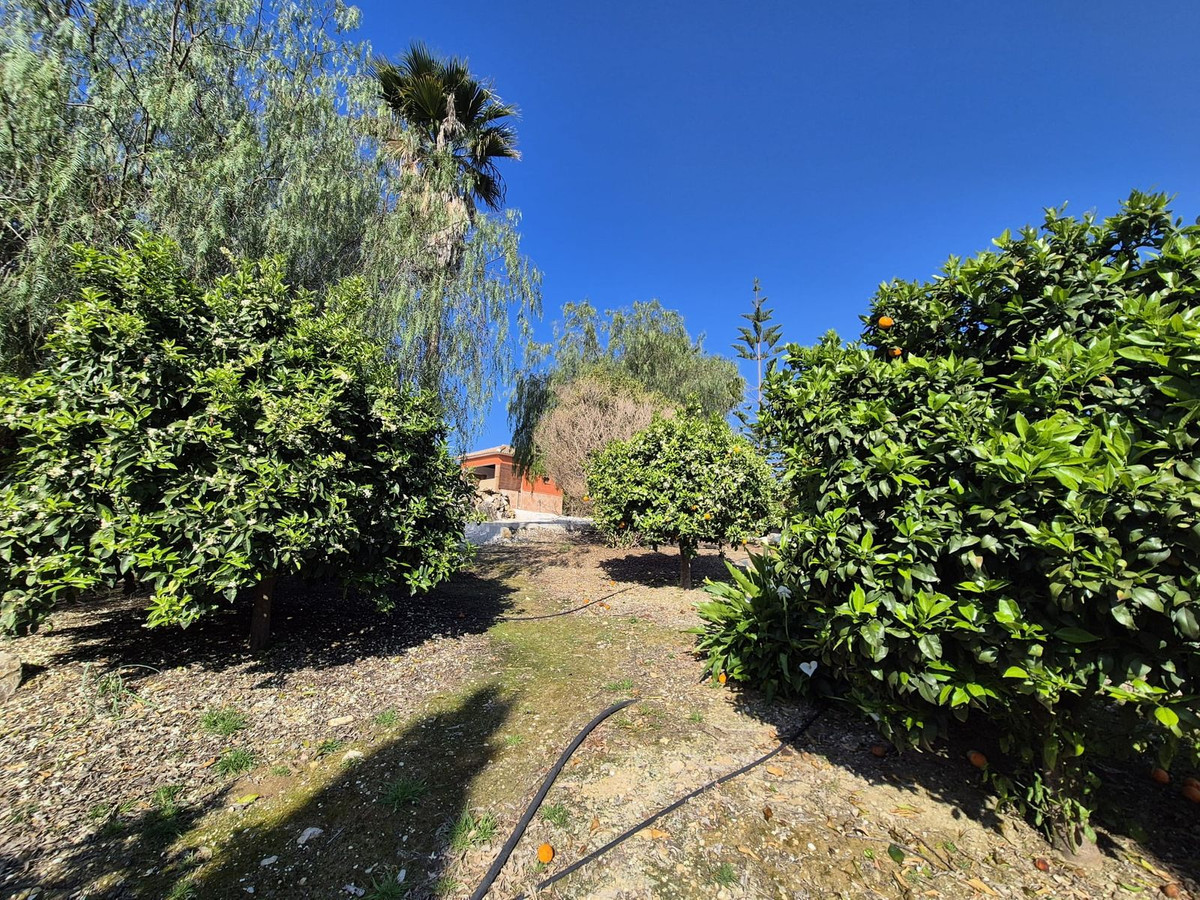 69794b9558b9577da601c2d686902397 - 54