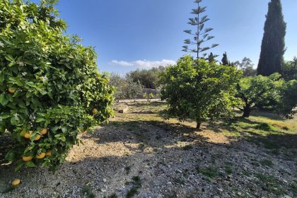 69794b9558b9577da601c2d686902397 - 55