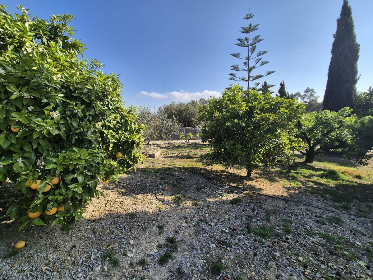 69794b9558b9577da601c2d686902397 - 55