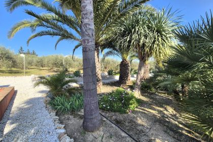 69794b9558b9577da601c2d686902397 - 56