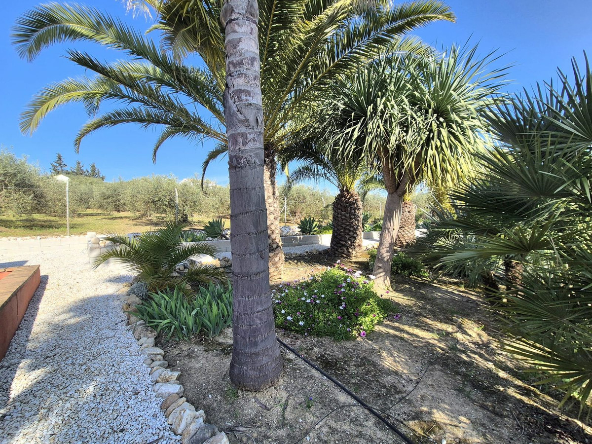 69794b9558b9577da601c2d686902397 - 56