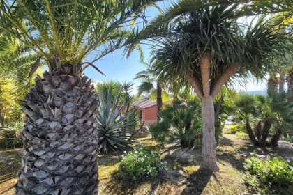 69794b9558b9577da601c2d686902397 - 57