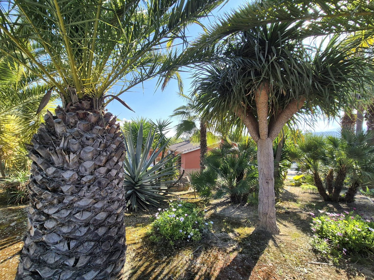 69794b9558b9577da601c2d686902397 - 57