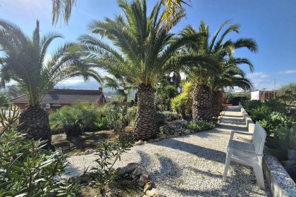 69794b9558b9577da601c2d686902397 - 59