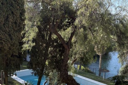 6a1ecfbdc4f00b41bcd569287cf177f6 - 16