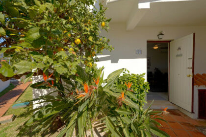 6a720790512992350ed6603a5ff0b315 - 24