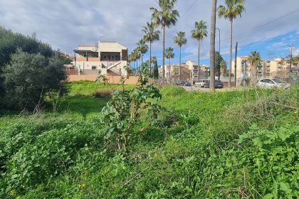 6bf39e2aebd1a4f7c7aec7e9af5c23d8 - 1