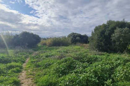 6bf39e2aebd1a4f7c7aec7e9af5c23d8 - 2