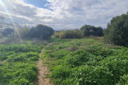 6bf39e2aebd1a4f7c7aec7e9af5c23d8 - 3