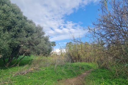 6bf39e2aebd1a4f7c7aec7e9af5c23d8 - 5