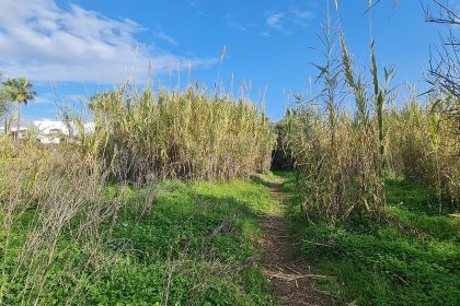 6bf39e2aebd1a4f7c7aec7e9af5c23d8 - 6