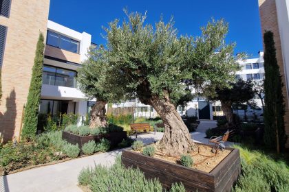 708199441c39f1578f2a4d9623f9b6f6 - 19