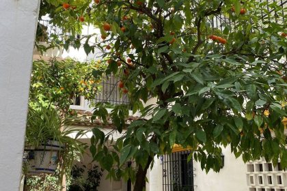 70ffbe31d774e99624f53fa1756d76e4 - 19