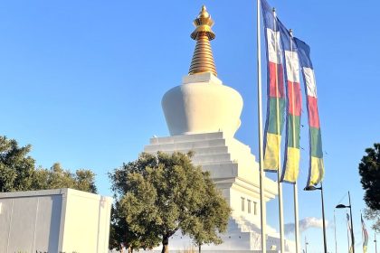 719061a6ec5f0b278c34f46c6136ed6c - 23