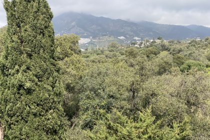 71b9e50bd3eb566c6361be7fc15cce58 - 14