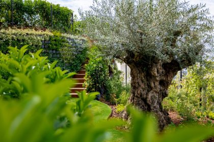 7218bd821a1e5980a675115256b60748 - 53