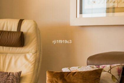 721e05b3c69090e5fa5e561cfb5f7314 - 32