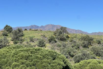 72ccb9eca104246db85a9ef7d7662b9b - 29