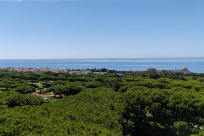 740a52ba5d13c2c383592034848662d3 - 32