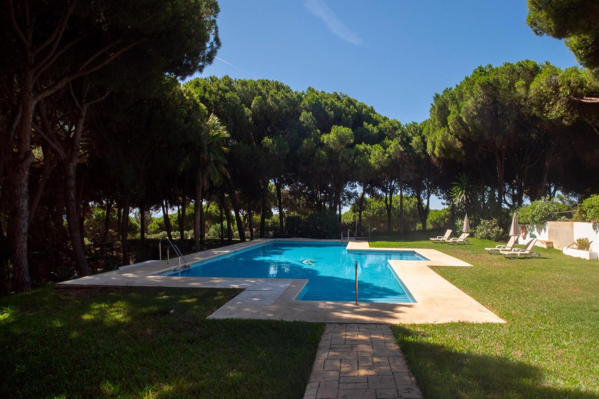 740a52ba5d13c2c383592034848662d3 - 37