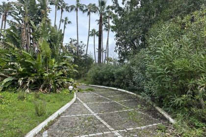 742505500ccb5a3886f238de9d40b7be - 11