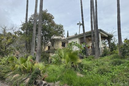 742505500ccb5a3886f238de9d40b7be - 12