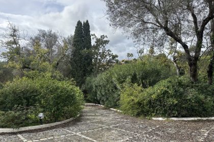 742505500ccb5a3886f238de9d40b7be - 22