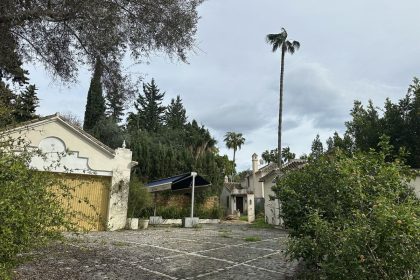 742505500ccb5a3886f238de9d40b7be - 26