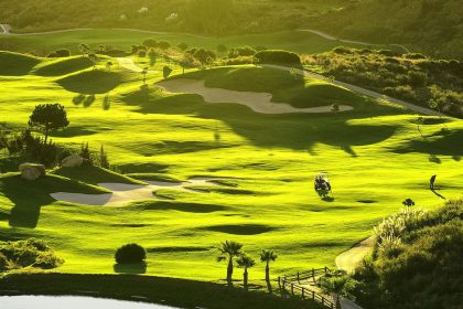 75ce6662d607a0914f530b2f07387308 - 50