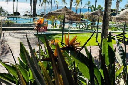 76c1982de05465d1a4809c35716c0d0c - 13