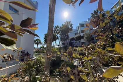 76c1982de05465d1a4809c35716c0d0c - 24