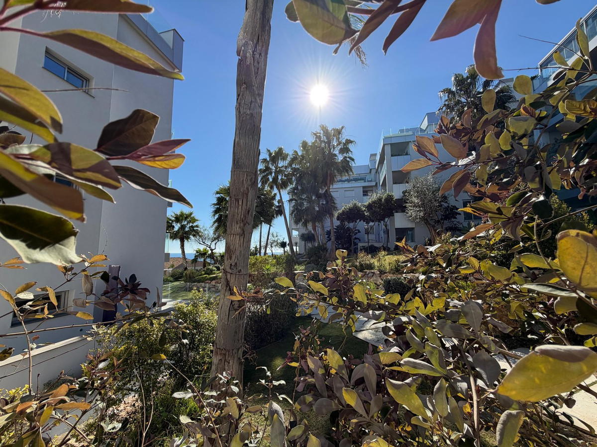 76c1982de05465d1a4809c35716c0d0c - 24