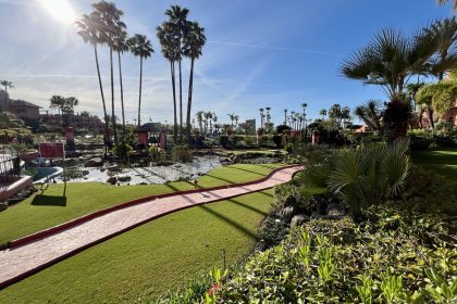 7744336b48350bf8aa383bb939e67490 - 33