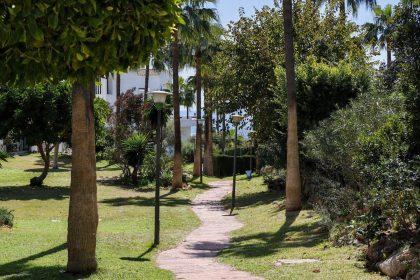 7929ecd8d6e44b1d66a7f6a2094954c5 - 16