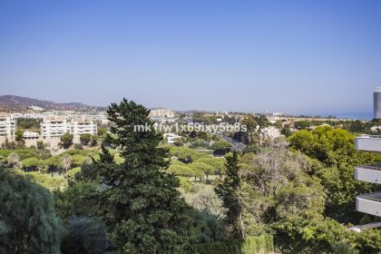 7a3b15dce7230422d2fd7eddef8be0a7 - 37