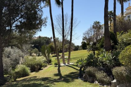 7bdd062efc0777f14295f7af75bcce2b - 18