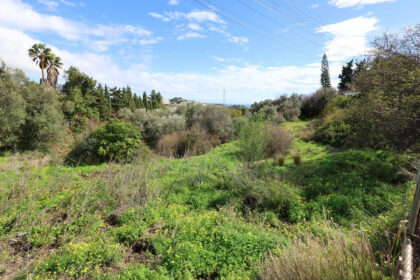 7ce0077d3e4b6d8718816ce7869aaf8e - 11