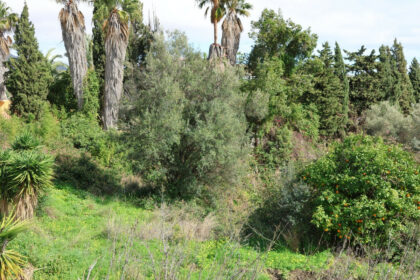 7ce0077d3e4b6d8718816ce7869aaf8e - 7