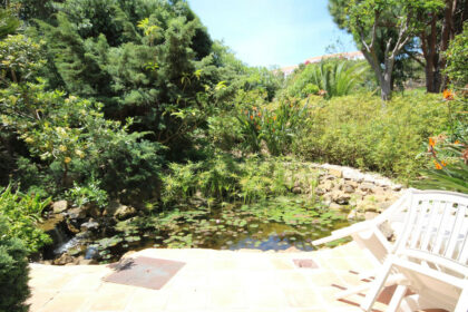 7d6cf90072d003956840f6e0aecdc4ad - 31