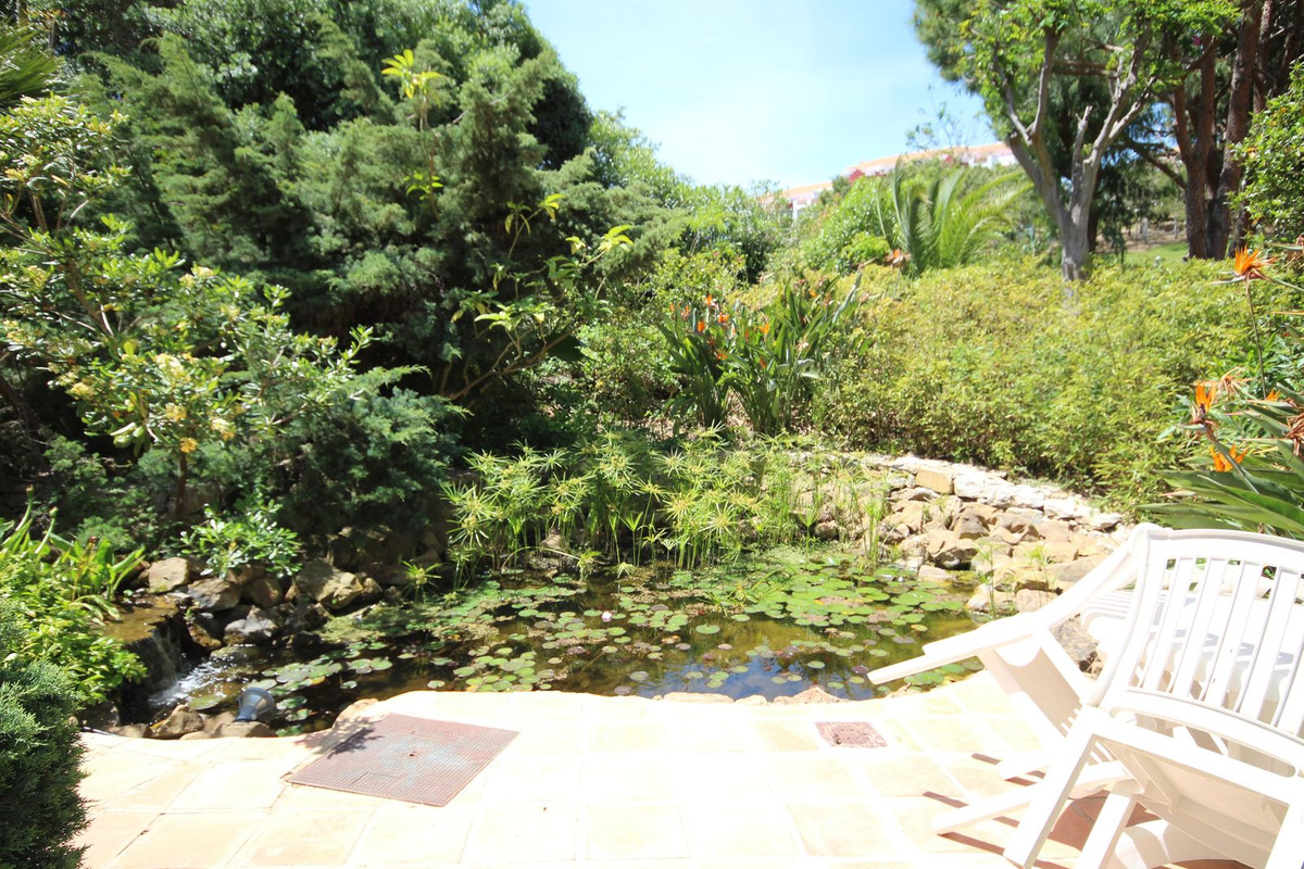 7d6cf90072d003956840f6e0aecdc4ad - 31