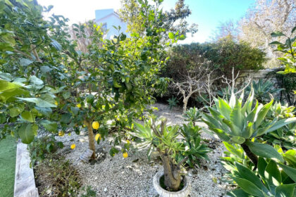 7fcabd6282afc1d024535a90ddca5d03 - 53