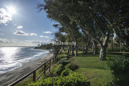 8342141d147e1ca0596cf8f3ec09a06e - 37