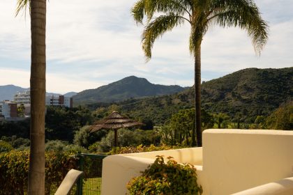 835139e9db9aeb8d4050bcea23e5b909 - 29