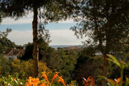 835139e9db9aeb8d4050bcea23e5b909 - 30