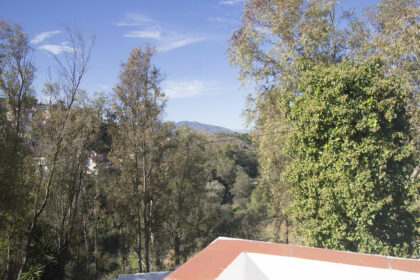 8471078e3c3383a759417c4362c88b36 - 2