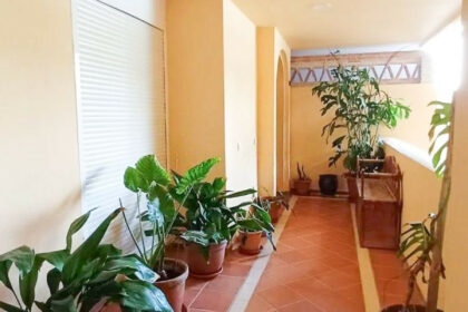 8498e89dd7cb17306470d1a24230a36d - 10