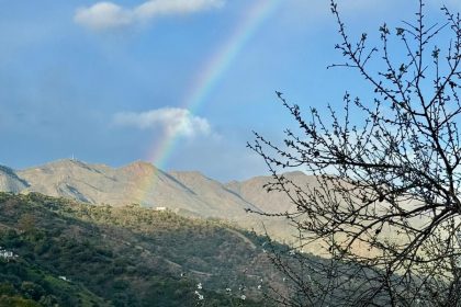 85e3f7882fbb7275a98a0d8f2ba52d4c - 10